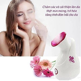 Máy xông hơi mặt phun sương mini ion âm ZJ-608 