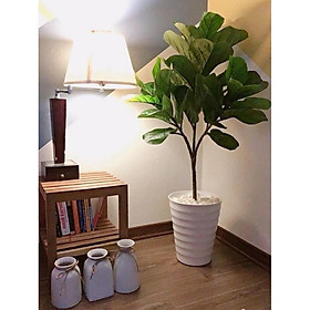 Mua Cây bàng Singapore giả giống thật 99% - 3 nhánh - Cao 100 cm – Cây giả  hoa lụa decor trang trí rẻ  bền  đẹp