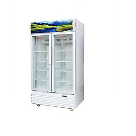 Tủ Mát SANAKY (800L) VH 8009HP - Hàng Chính Hãng