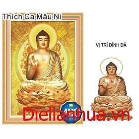 Mua Tranh đính đá Phật Thích Ca Mâu Ni DF596 kt 40x55cm (chưa đính)