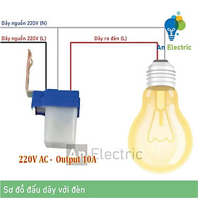 Mua Công Tắc Cảm Biến Tự Động Bật Đèn Khi Trời Tối – Phù Hợp Mọi Nguồn Điện 12V-220V