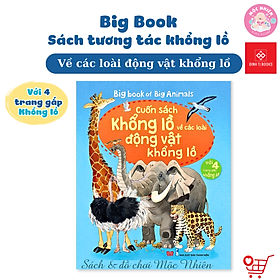 Sách Tương Tác - Big Book - Cuốn Sách Khổng Lồ – Đinh Tị (Nhiều chủ đề)