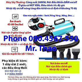 Máy Sấy lông cho Chó Mèo Chuyên dụng - Máy Sấy Công Suất Lớn 2800W (GIAO MÀU NGẪU NHIÊN) 