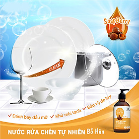 Nước rửa chén tự nhiên chiết xuất từ trái Bồ Hòn Nguyên Chất 1500ml JULYHOUSE đánh bay dầu mỡ