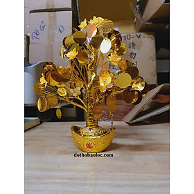 Mua Cây Kim Tiền Vàng  Lộc Tài ( 2 cỡ cao: 29cm và 26cm)