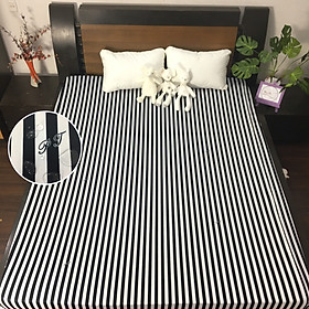 Drap Chống Thấm PT Họa Tiết Kích Thích Thị Giác Sọc
