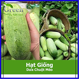 Mua Hạt Giống Dưa Chuột Mèo Siêu To (20 H)