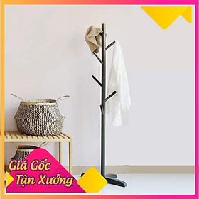 Mua Cây treo đồ