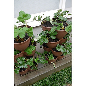 Chậu nhựa trồng cây cảnh 03 khoang Yamada 4L - Nhập khẩu trực tiếp từ Nhật Bản