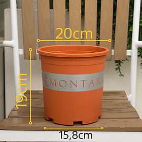 Mua Chậu nhựa trồng cây VIETPOT  mã 29  màu Cam Đất  MONTARIO  nhiều size  trồng kiểng lá  hoa hồng  trồng rau  hoa kiểng  trang trí ban công  sân vườn  sân thượng