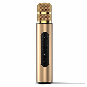 Mua Micro Karaoke Bluetooth kèm loa không dây  hút âm siêu nhẹ cao cấp PKCB khay gắn thẻ nhớ TF  Jack line 3.5mm cho điện thoại  máy tính bảng - Hàng Chính Hãng