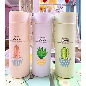 Mua Bình giữ nhiệt Love xương rồng 300ml