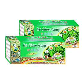 ComBo 5 Hộp Trà Chùm Ngây Ngăn Ngừa Khối U, Chống Lại Tiểu Đường Loãng Xương Làm Đẹp Da (Hộp 50 Túi Lọc X 2g)- Nguyên Thái Trang - Thảo Dược Thiên Nhiên – Tốt Cho Sức Khỏe