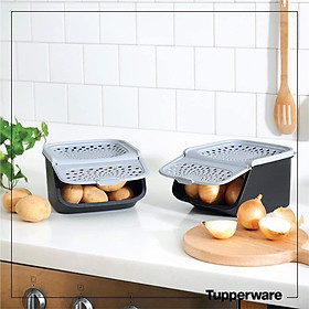 Mua Hộp Đựng Hành Tỏi Tupperware Access Mate Black 2.3L