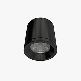 Mua Đèn Downlight Nổi Trần trang trí 110/15W Rạng Đông Model: NT01 110/15W