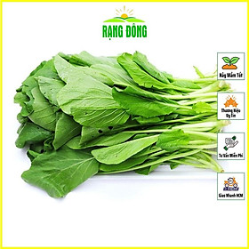 Mua Hạt Giống Cải Ngọt Giòn  Năng Suất Cao  Dễ Trồng - Hạt giống Rạng Đông