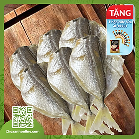 KHÔ CÁ CHỈ VÀNG - ĐẶC SẢN KIÊN GIANG