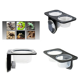 3Pcs Dual Single Reptile Feeding Bowl with Suction Cup for Worm Gecko Beetle