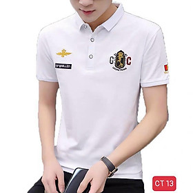 Áo Thun, Áo Phông Nam, Dáng Ôm Body, Không Nhăn, Không xù Hit Hót Thời Trang Cao Cấp TINA ms13