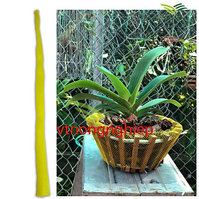 Mua 01 Túi lưới bọc chậu trồng hoa lan  dài 36cm. rộng 25-35cm
