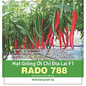 Mua Hạt Giống Ớt Chỉ Địa Lai F1 Rạng Đông