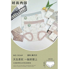 Combo 5 quần lót cotton cạp cao