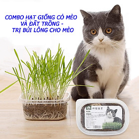 Mua Combo Hạt Giống Cỏ Mèo Và Đất Trồng Cỏ Trị Búi Lông Cho Mèo