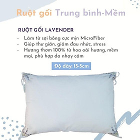 Mua Ruột Gối Đầu Lavender Hoa Oải Hương 45*65cm