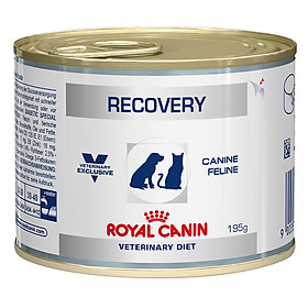Pate Royal Canin Recovery (195g)