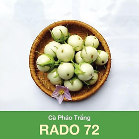 Hạt Giống Cà Pháo, Giống Trái Giòn 0.5Gram