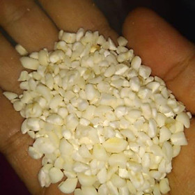 Mua BẮP TRẮNG XAY 5KG