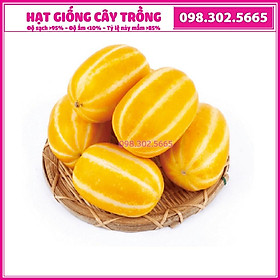 Hạt giống dưa lê Hàn Quốc F1 cao sản dễ trồng, năng suất cao, trái thơm ngon - gói 10 hạt
