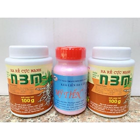 Mua Keo Liền Sẹo Mỹ Tiến + Ra Rễ N3M