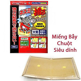 Mua Miếng dán bẫy chuột siêu dính