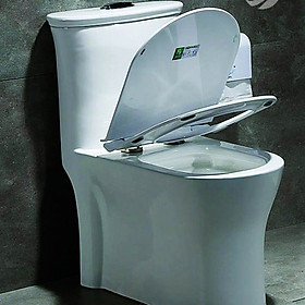 Mua Bàn cầu SJ02