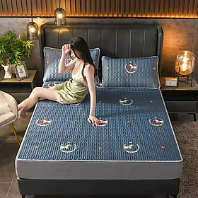 Mua Chiếu Điều Hòa Cao Su Non Mặt Vải Lụa TENCEL | Hàng Nhập Khẩu Có Sẵn Mới Nhất 2021 | Mã 012
