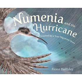 Sách ngoại văn: Numeria And The Hurricane - Inspired By A True Migration Story - Macmillan US