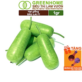 Mua Hạt Giống Bầu Lai Greenhome  Gói 1gr  Dễ Trồng Quanh Năm  Nảy Mầm Cao  Thu Hoạch Nhanh  Năng Suất Cao T09