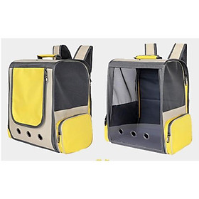 Balo trong suốt vận chuyển thú cưng, balo dáng đứng vận chuyển thú cưng cao cấp