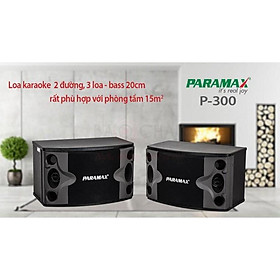 Mua Loa treo karaoke Paramax P-300. Hàng chính hãng