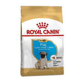 Thức Ăn Cho Chó Royal Canin Pug Junior (500g)
