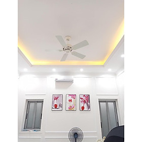 Mua Quạt trần Classic - Quạt trần MR.VU chính hãng hàng nhập khẩu
