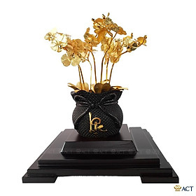 Mua CHẬU LAN HỒ ĐIỆP 7 CÀNH