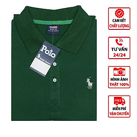 Áo thun Polo Nam cao cấp vải cotton co giãn 4 chiều hàng xuất khẩu 24 - Màu 3/4