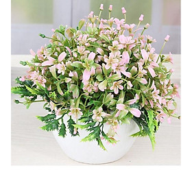 Chậu hoa lá cỏ nhiều màu trang trí ( NHIỀU MÀU)