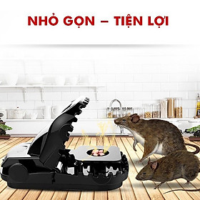Mua BẪY CHUỘT 1 SÉT 5 CHIẾC