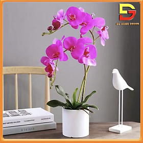 Mua Chậu Hoa Lan Hồ Điệp Cao 40cm Hoa Giả Trang Trí Nhà Cửa Bàn Làm Việc Kệ Tủ Siêu Đẹp DG-270