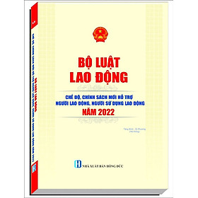 Bộ Luật Lao Động Chế Độ, Chính Sách Mới Hỗ Trợ Người Lao Động, Người Sử Dụng Lao Động Năm 2022