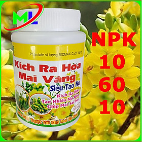 Mua Kích ra hoa mai vàng cực mạnh hủ 100ml