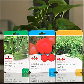 BỘ 3 GÓI HẠT GIỐNG DƯA LEO, CÀ CHUA, RAU MUỐNG CỦA EAST-WEST SEED (HAI MŨI TÊN ĐỎ)